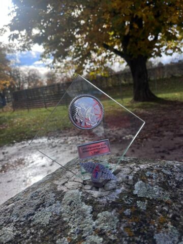 Leistungsspange 2025 Platz 1 Leistungsspange JFW Brigachtal